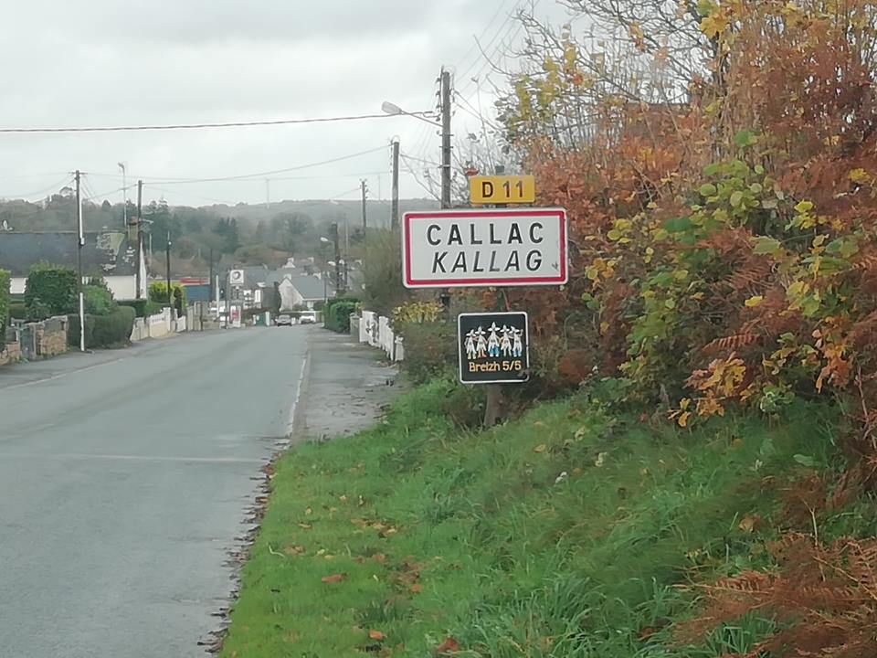 De La Vallee De L'Echelle - Résultat Field sur Bécasses à CALLAC