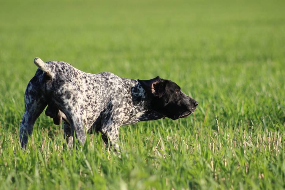De La Vallee De L'Echelle - CACT Field Trial Automne