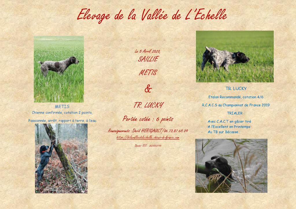 De La Vallee De L'Echelle - Saillie Métis X Lucky